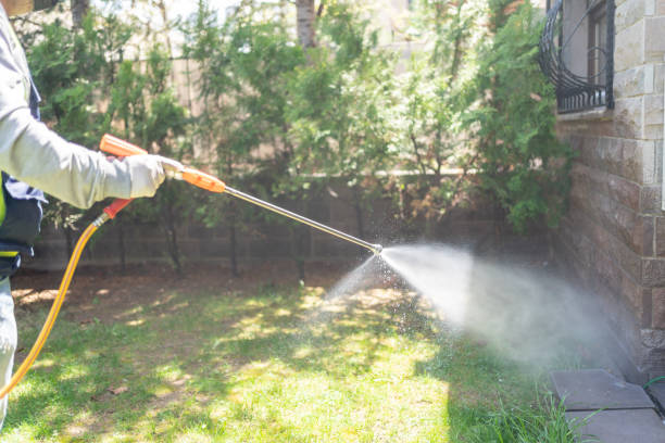 Best Best Pest Control Companies  in Cloverleaf, TX