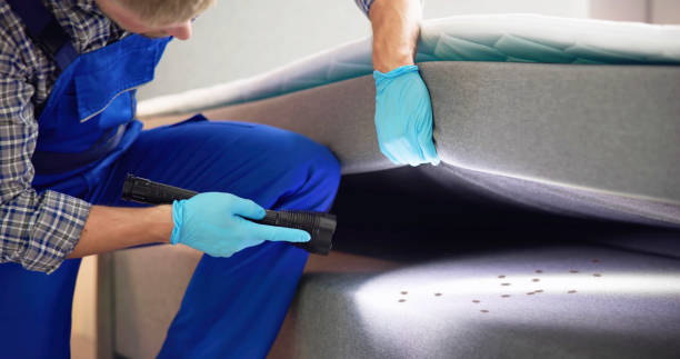Best Ant Control Services  in Cloverleaf, TX